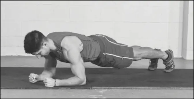 Figure 4.4 Plank.