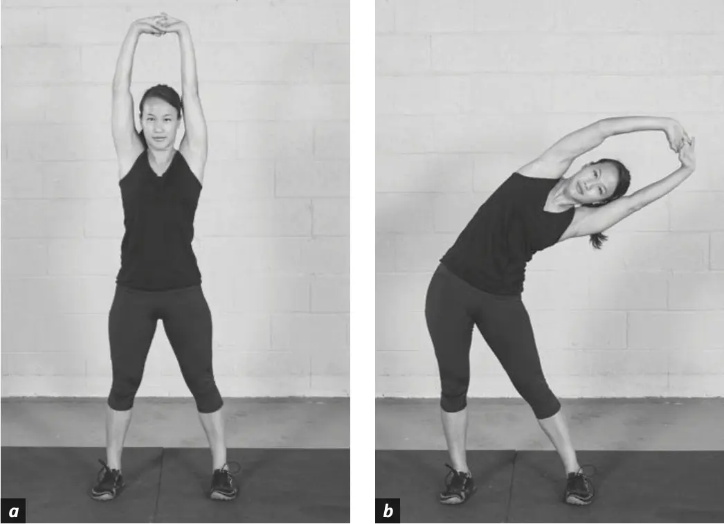 Figure 5.15 lateral rib openers.
