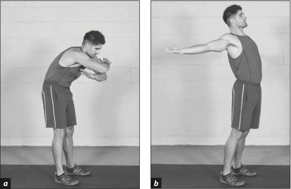 Figure 5.19 Chest hollow and expand.