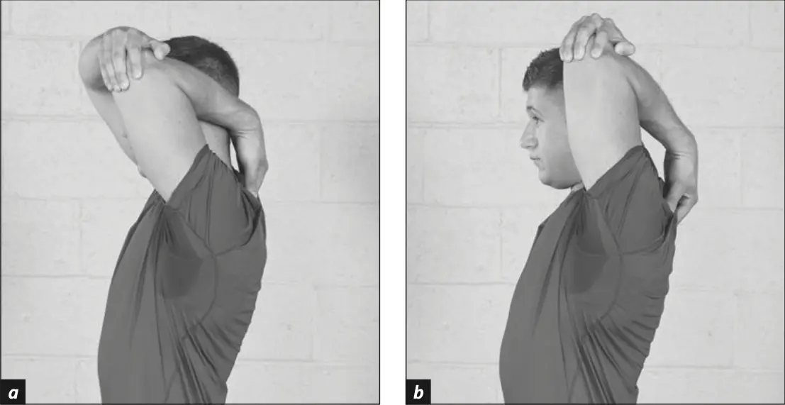 Figure 5.26 Triceps Pulls.