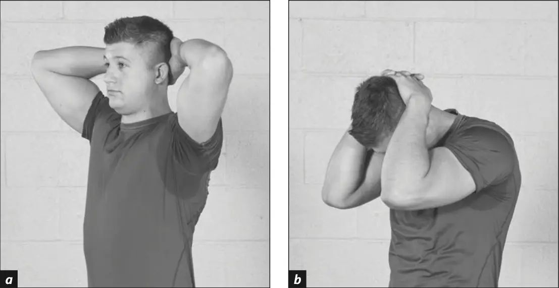 Figure 5.27 Neck Flexion Stretch.