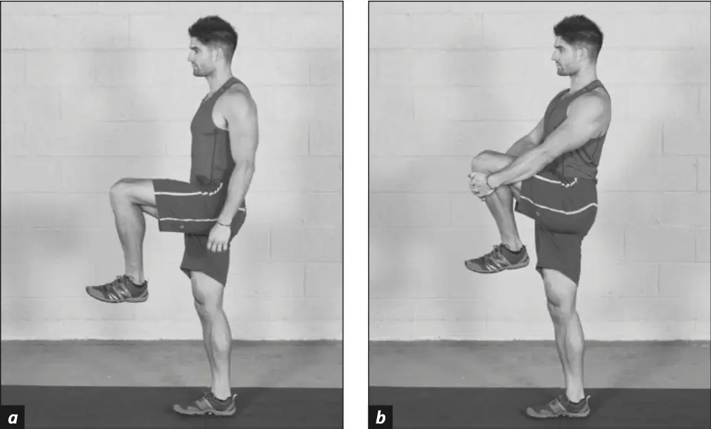 Figure 5.29 Standing Knee-To-Chest Stretch.