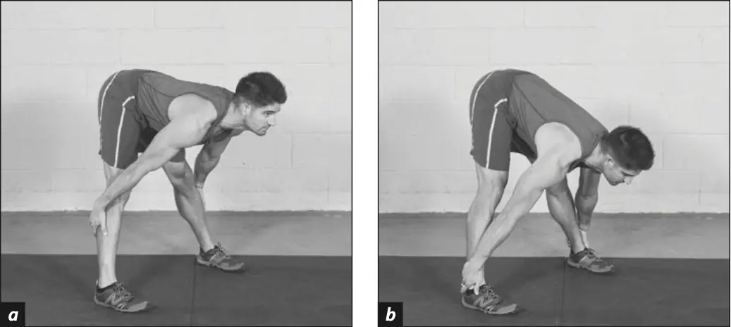 Figure 5.31 Standing Hamstrings Stretch: (a) grabbing the calves if you're less flexible and (b) grabbing the ankles if you're more flexible.
