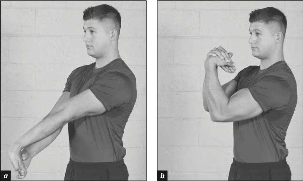 Figure 5.4 Forearm (a) extension and (b) flexion.