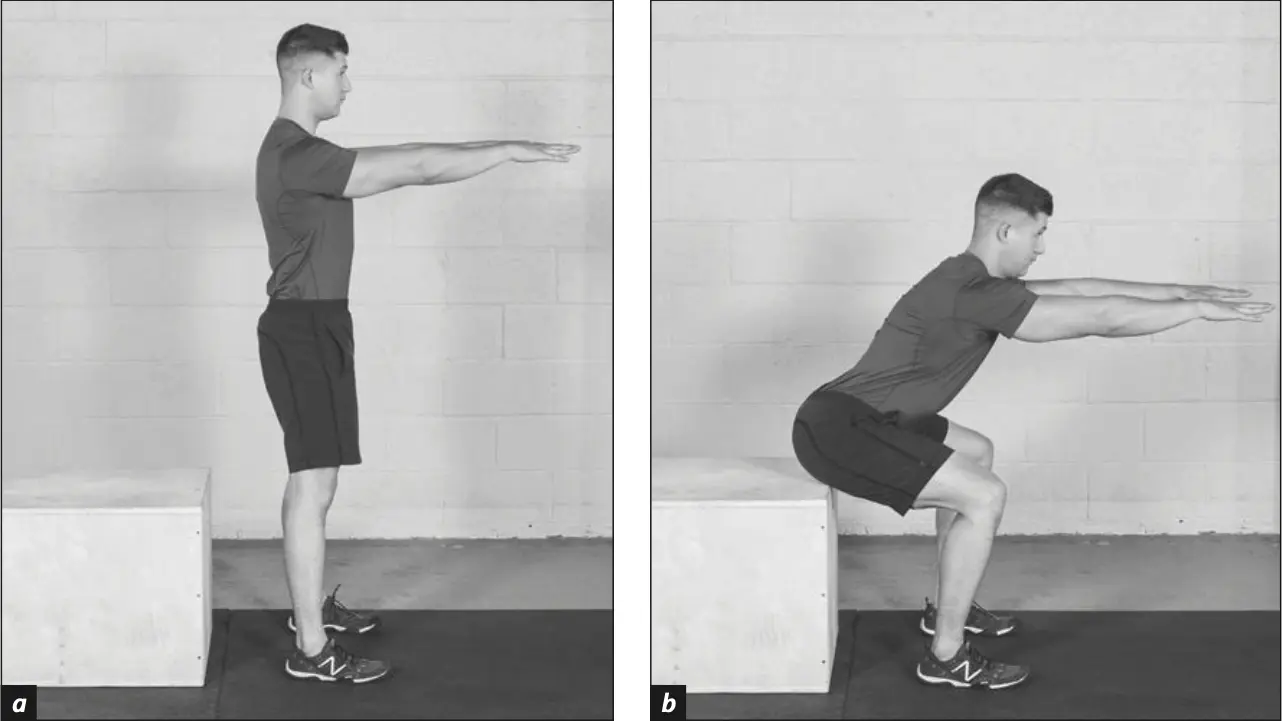Figure 6.8 box squat.